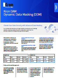 Kron DAM<br> Dynamic Data Masking