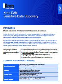 Kron DAM<br> Sensitive Data Discovery