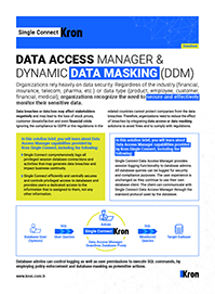Veritabanı Erişim Yöneticisi ve Dinamik Veri Maskeleme